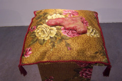 pistolen 2005