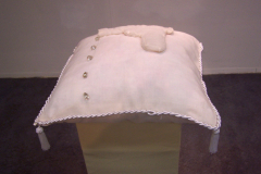 pistolen 2005