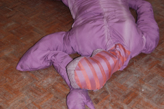 body
